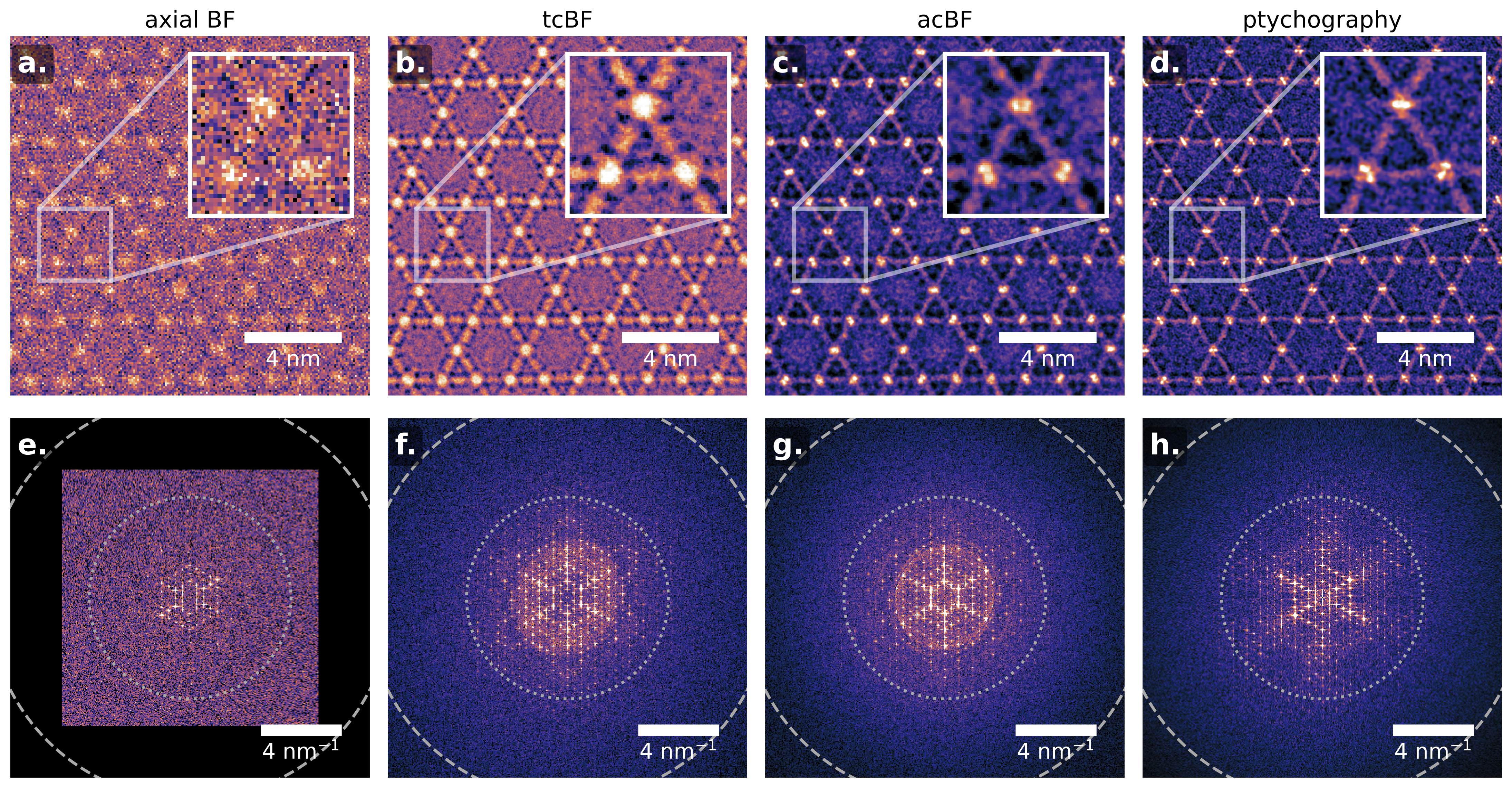 Comparison of tcBF, acBF, and multislice ptychography